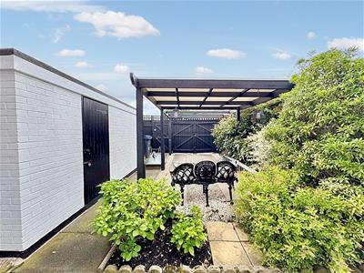 Picture 23